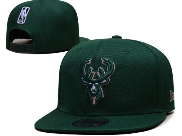 NBA Snapbacks(2)-0123