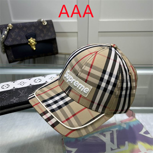 Burberry-Cap(AAA)-257