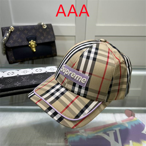 Burberry-Cap(AAA)-260