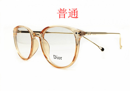 Dior-Sunglass-051