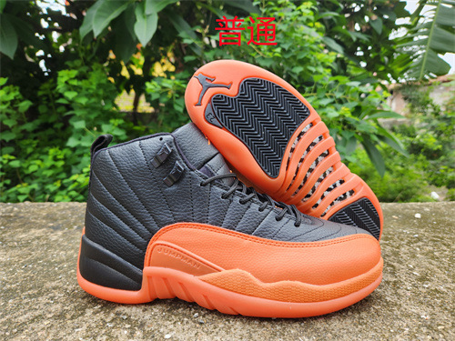 Jordan12-M-036