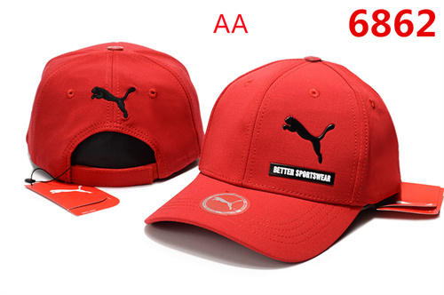 Other Snapbacks(AA)-0013
