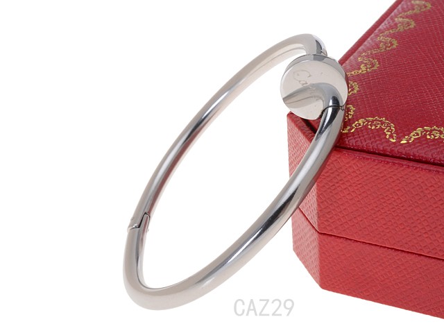 Cartier Bangle-029