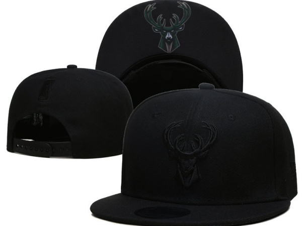 NBA Snapbacks(3)-0056