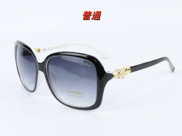 Cartier Sunglass-0014