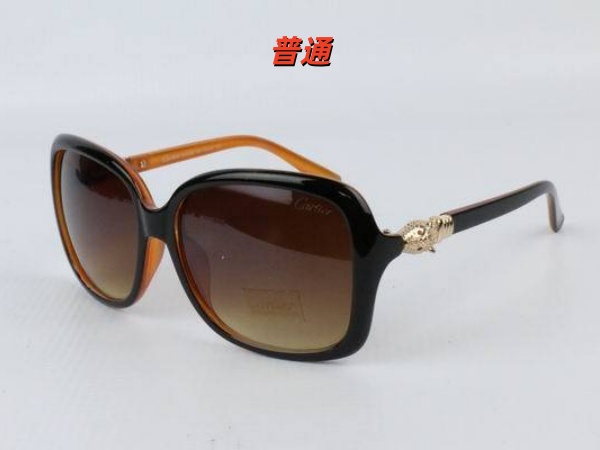 Cartier Sunglass-0017
