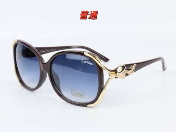 Cartier Sunglass-0077