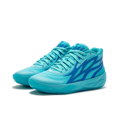 Puma Basketball shoes-0077