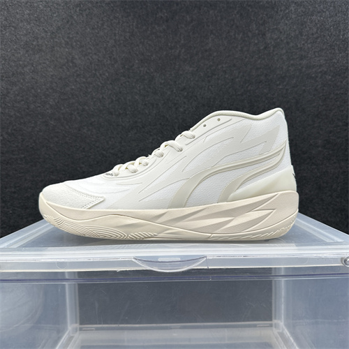Puma Basketball shoes-0082