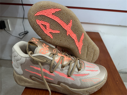 Puma Basketball shoes-0097