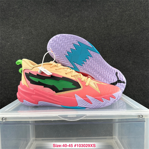 Puma Basketball shoes-0105