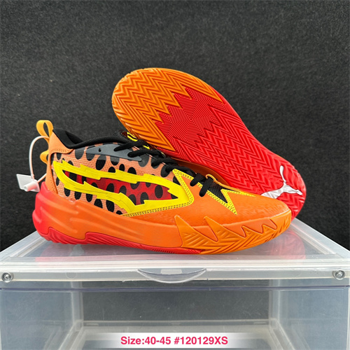 Puma Basketball shoes-0117
