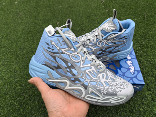 Puma Basketball shoes-0127