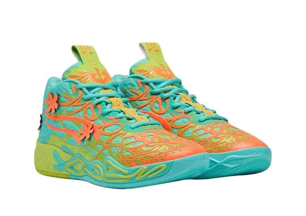 Puma Basketball shoes-0154