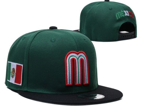 MLB Snapbacks(2)-0130