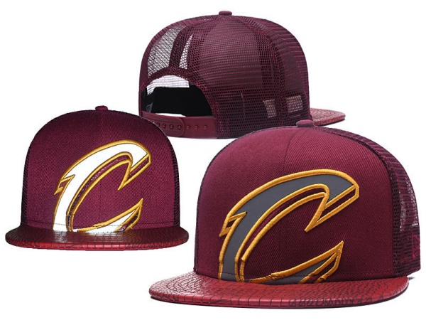NBA Snapbacks(2)-0078