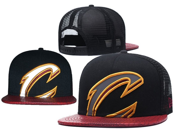 NBA Snapbacks(2)-0082