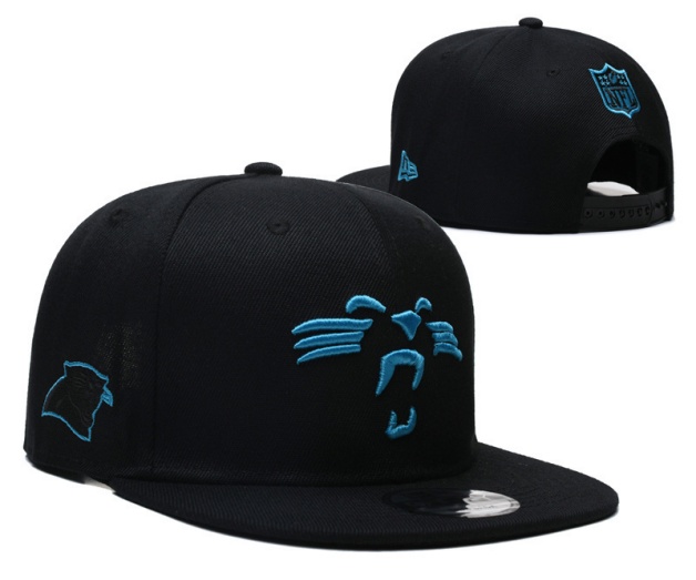 NFL Snapbacks(2)-0195
