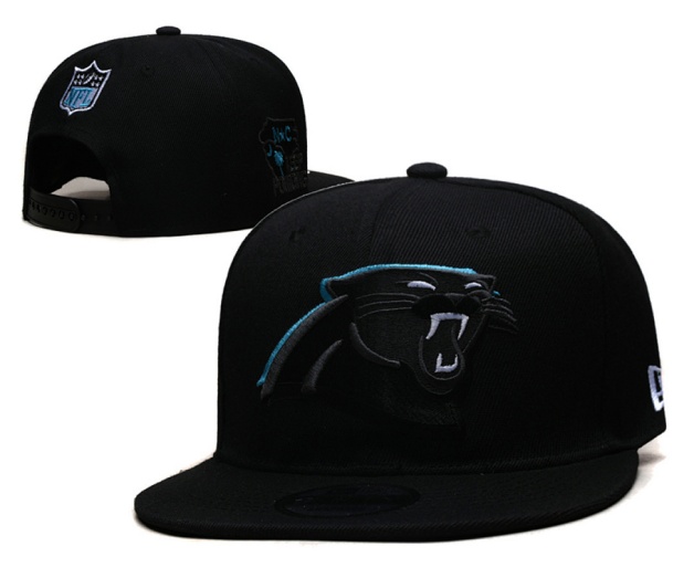 NFL Snapbacks(2)-0204