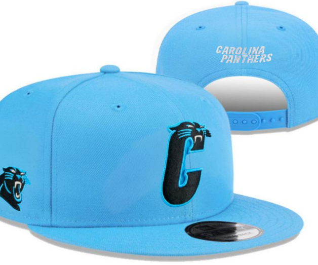 NFL Snapbacks(2)-0205