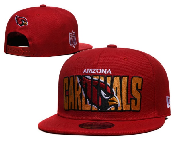 NFL Snapbacks(2)-0231