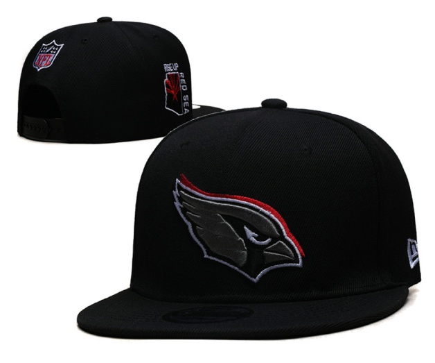 NFL Snapbacks(2)-0233