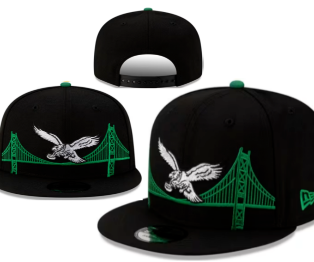 NFL Snapbacks(2)-0254