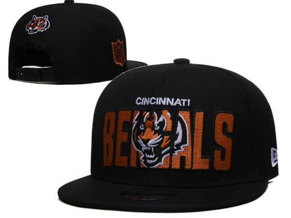 NFL Snapbacks(2)-0335