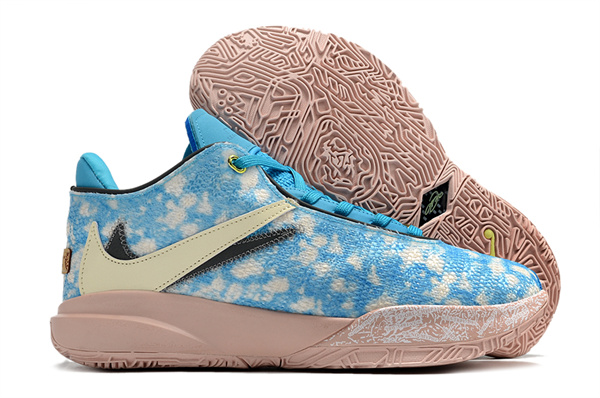 Lebron James 20-W-0014