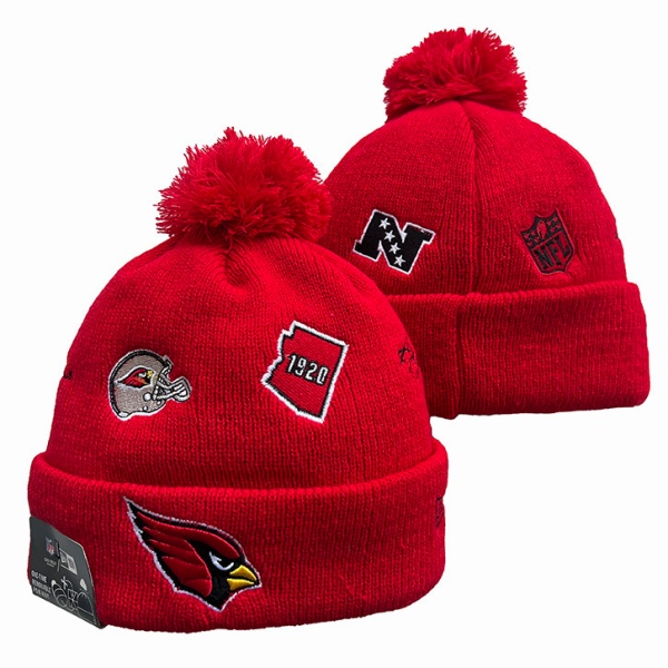 NFL Beanies(1)-0101