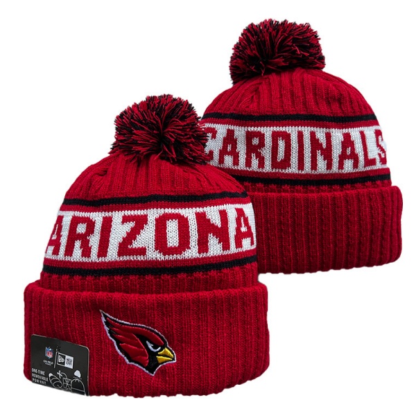 NFL Beanies(1)-0118