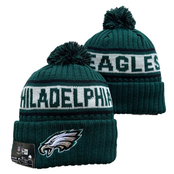 NFL Beanies(1)-0131