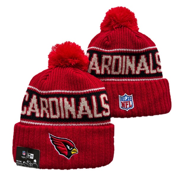 NFL Beanies(1)-0163