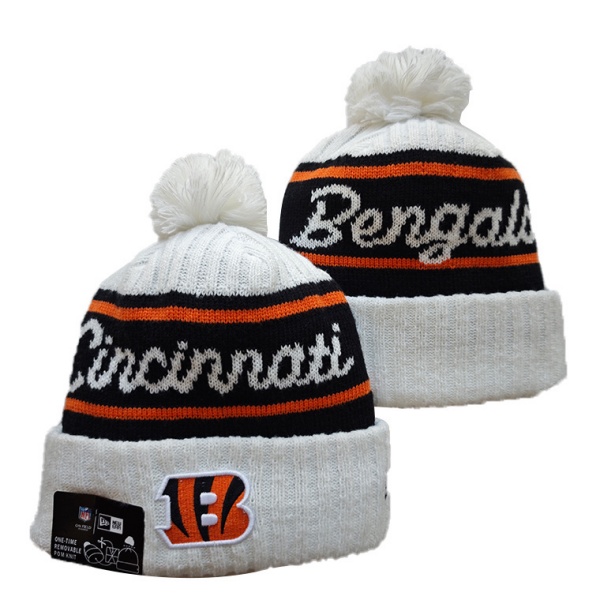 NFL Beanies(1)-0220