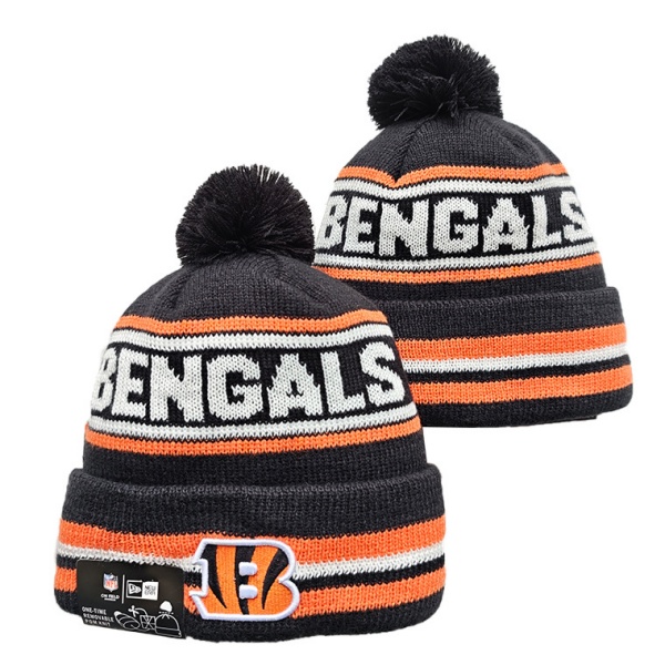 NFL Beanies(1)-0285