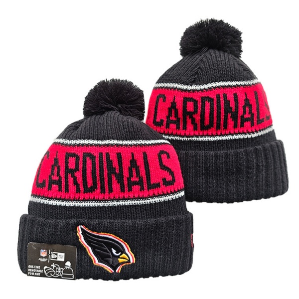 NFL Beanies(1)-0303