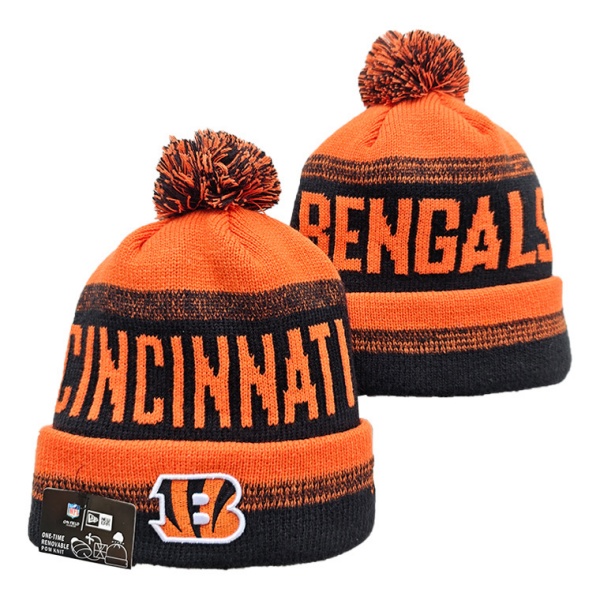 NFL Beanies(1)-0365