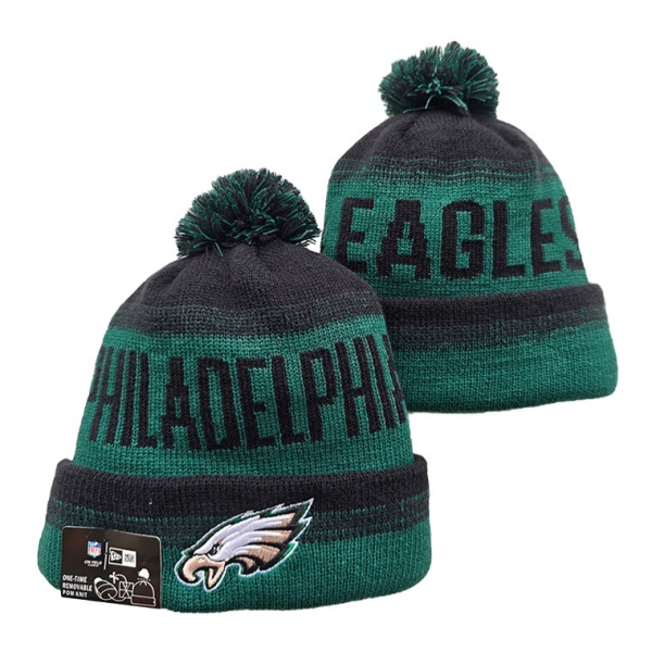 NFL Beanies(1)-0368