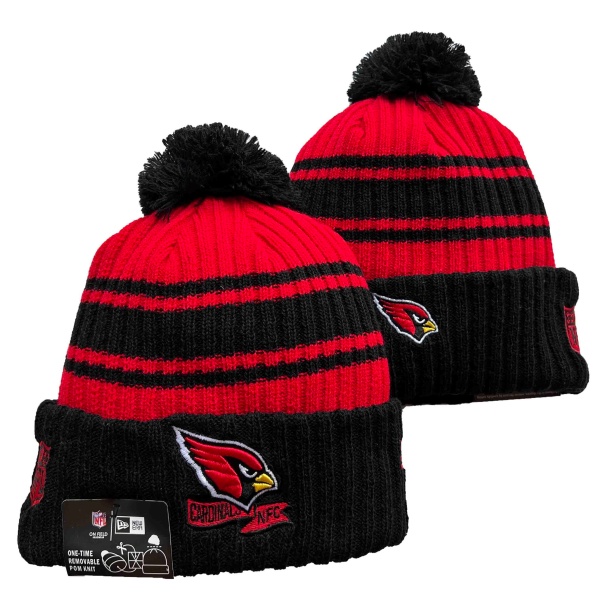 NFL Beanies(1)-0046