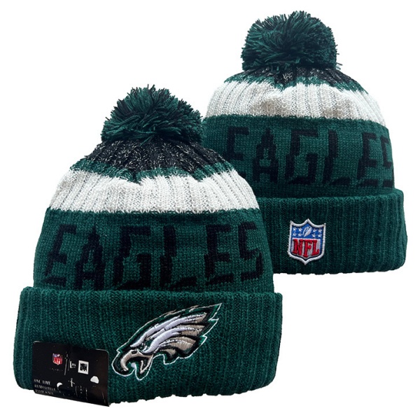 NFL Beanies(1)-0063