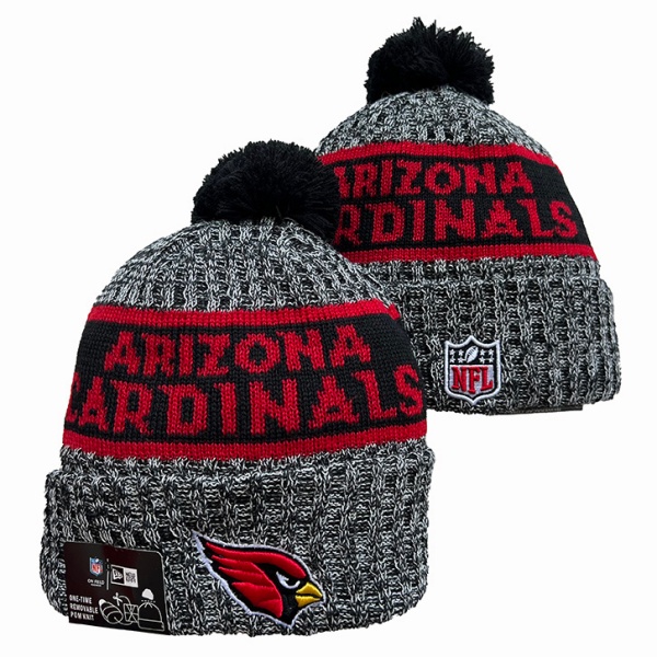 NFL Beanies(1)-0091
