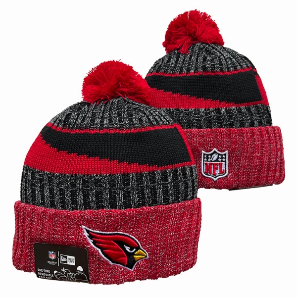 NFL Beanies(1)-0093