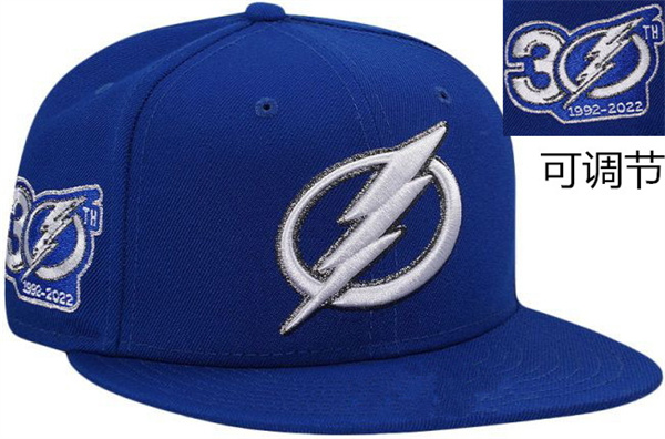 NHL Snapbacks-0114