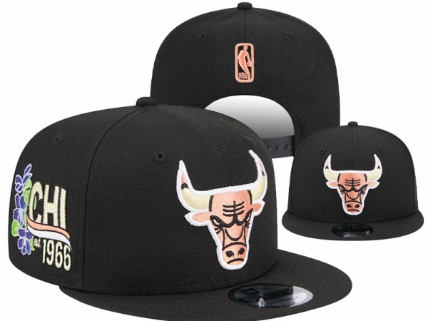 NBA Snapbacks(1)-0017