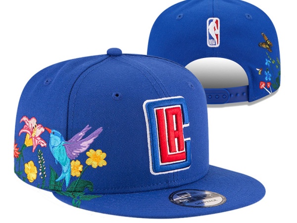 NBA Snapbacks(1)-0006