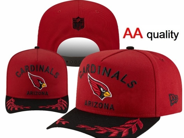 NFL Snapbacks(1)-0071