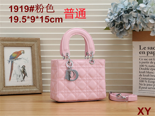 Dior small bag-0006
