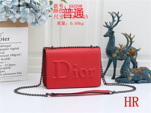 Dior small bag-0011
