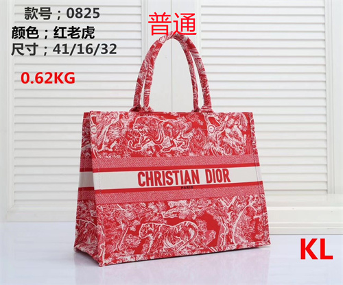 Dior bag-0012