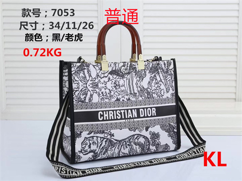 Dior bag-0018